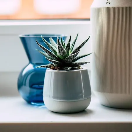 Sanierter Altbau, 2 Zimmer, 24-7 Check-in Kiel